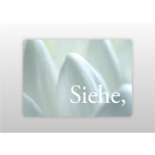 Osterkarte und Postkarte "Jahreslosung", Offb 21,5