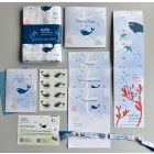 "Kleine willkommen": Bestellmuster-Set, Motiv Wal 