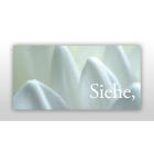 Osterkarte und Grußkarte "Jahreslosung", Offb 21,5