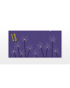 Glückwunschkarten zum 18. Geburtstag - LILA – 10er-Bündel inkl. Aufkleber