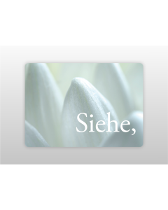 Osterkarte und Postkarte "Jahreslosung", Offb 21,5