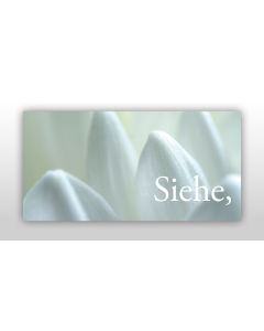 Osterkarte und Grußkarte "Jahreslosung", Offb 21,5