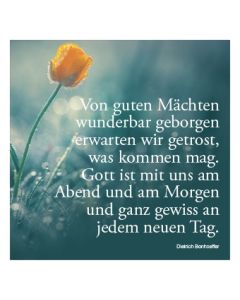 Grußkarten "Seelsorge" Variante 2  / in 50er Bündelung. Solange Vorrat reicht!